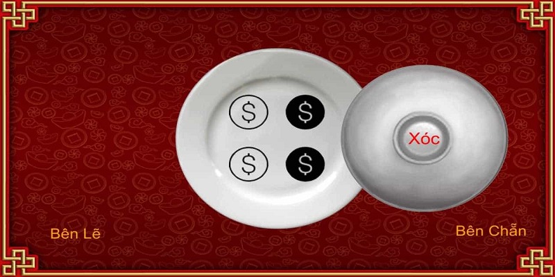 Trước khi bắt đầu chơi, người chơi nên kiểm tra kỹ dụng cụ